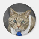 Suche nach tabbykatze magnete Miezekatze