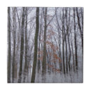 Suche nach wälder fliesen Winter