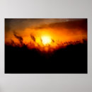 Suche nach maisfeld poster Sonnenuntergang