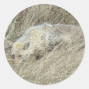 Suche nach gräser aufkleber Naturfotografie