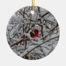 Suche nach roter kardinal ornamente Schön