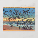 Suche nach meerschweinchen poster Möwen