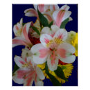 Suche nach sträuße poster Blumenstrauß
