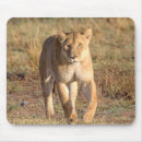 Suche nach löwin mousepads Löwe