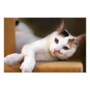 Suche nach relax poster Weiß