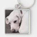 Suche nach weißer labrador schlüsselanhänger Welpe