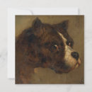Suche nach britische bulldogge karten Britischer bulldog