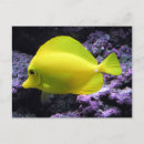 Suche nach korallenriff karten Unterwasser