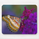Suche nach violette blumen mousepads Pflanze