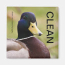 Suche nach clean dirty magnete Sauber