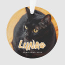 Suche nach geschenke Weihnachtsgeschenk