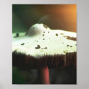 Suche nach pilz poster Herbst