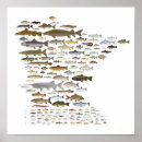 Suche nach fisch und poster Dad