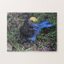 Suche nach rasen puzzle Jay