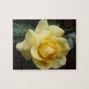 Suche nach gelbe rosen puzzle Fotografie