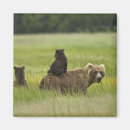 Suche nach alaska magnete Tragen