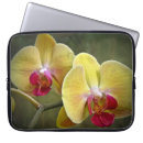 Suche nach orchidee laptop schutzhüllen Blüte