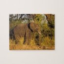 Suche nach victoria falls puzzle Simbabwe