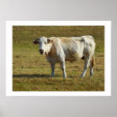 Suche nach blondinen poster Bauernhof