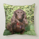 Suche nach dackel langhaarige dackel kissen Zwergteckel