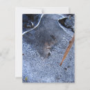 Suche nach toter vogel postkarten Rabe