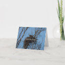 Suche nach doppeltes karten Fotografie