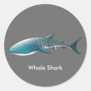 Suche nach sharks aufkleber Ozean