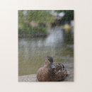 Suche nach enten puzzle Natur