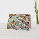 Suche nach bilder der muscheln Für sie