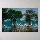 Suche nach flamingo poster Tiere