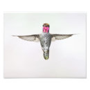 Suche nach kolibri poster Vögel