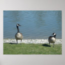 Suche nach kanadisch poster Landschaft