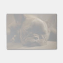 Suche nach französisch post it Bulldogge