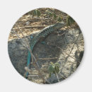 Suche nach blaue eidechse magnete Tier