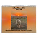 Suche nach lamm kalender Schaf