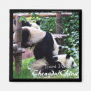 Suche nach über pandas magnete China