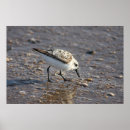 Suche nach ufer poster Meer