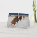 Suche nach laufende karten Huhn