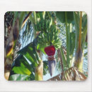 Suche nach banane mousepads Tropisch