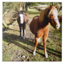 Suche nach ponys fliesen Tiere