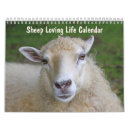 Suche nach schafe in der kalender Bauernhof