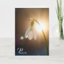 Suche nach schneeglöckchen karten Blume