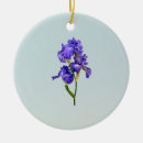 Suche nach iris ornamente Lila