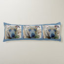 Suche nach pitbull kissen Amerikanischer pitbullterrier