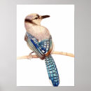 Suche nach bunte stifte poster Bleistift