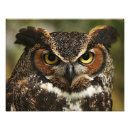 Suche nach hornhaut poster Tiere