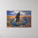 Suche nach adler leinwandbilder Bibel