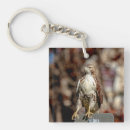 Suche nach hawk schlüsselanhänger Tierwelt