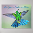 Suche nach exotic poster Kolibri