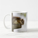 Suche nach squirrel tassen Natur